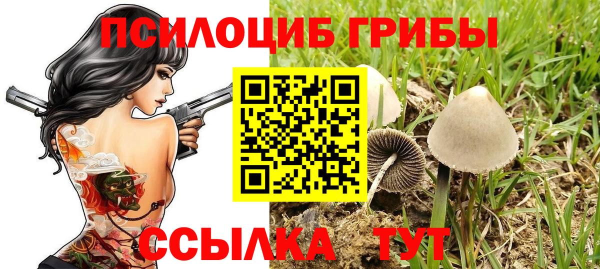 Псилоцибиновые грибы мицелий  Вход с VPN  где купить наркоту  Новошахтинск 