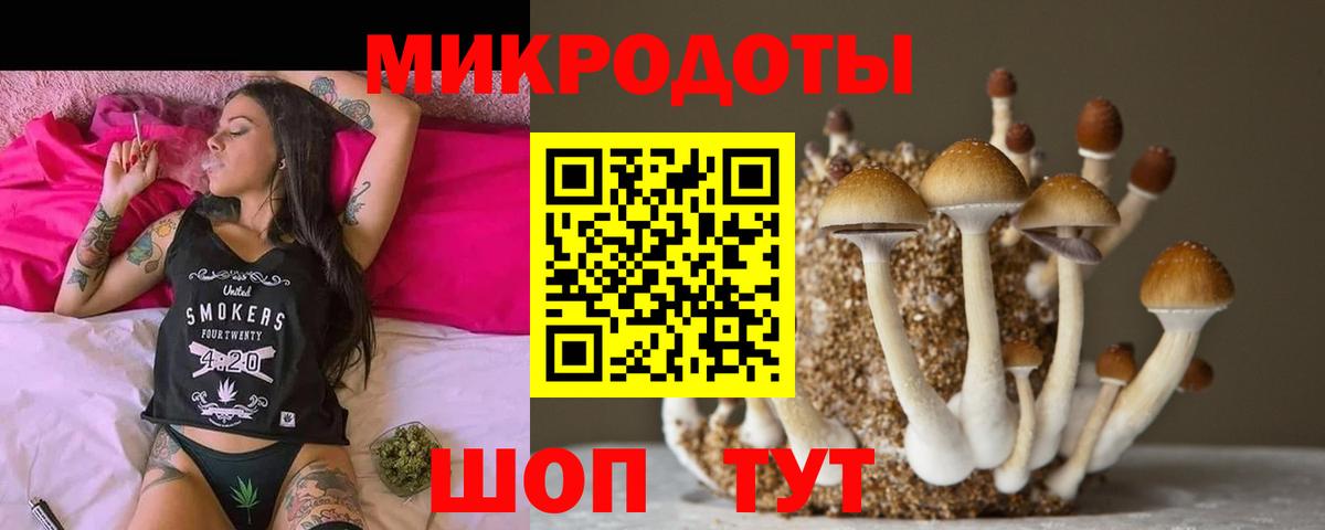 Галлюциногенные грибы Cubensis Новошахтинск